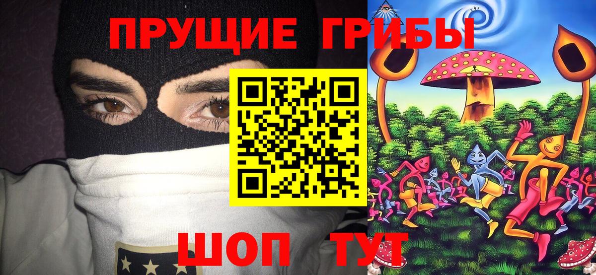 Псилоцибиновые грибы мухоморы  купить закладку  Галлюциногенные грибы прущие грибы  Боровичи  Вход с VPN 