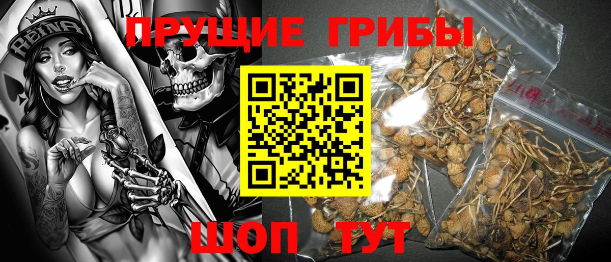 Галлюциногенные грибы ЛСД Боровичи